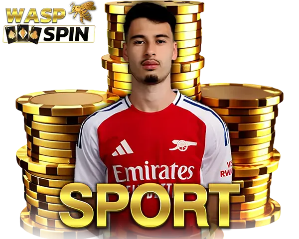 พนันบอลออนไลน์ WASPSPIN ราคาน้ำดีที่สุด